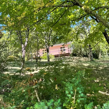 Logement Dans Un Parc Arbore *